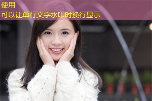 上海的可再生能源发展现状